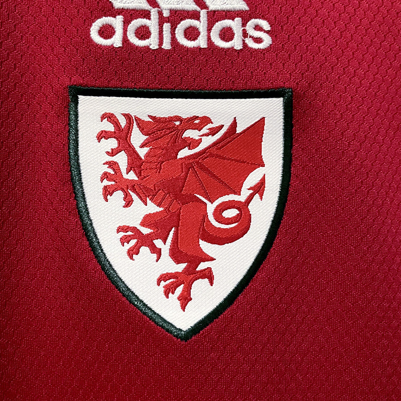 wales 22 23 home jersey