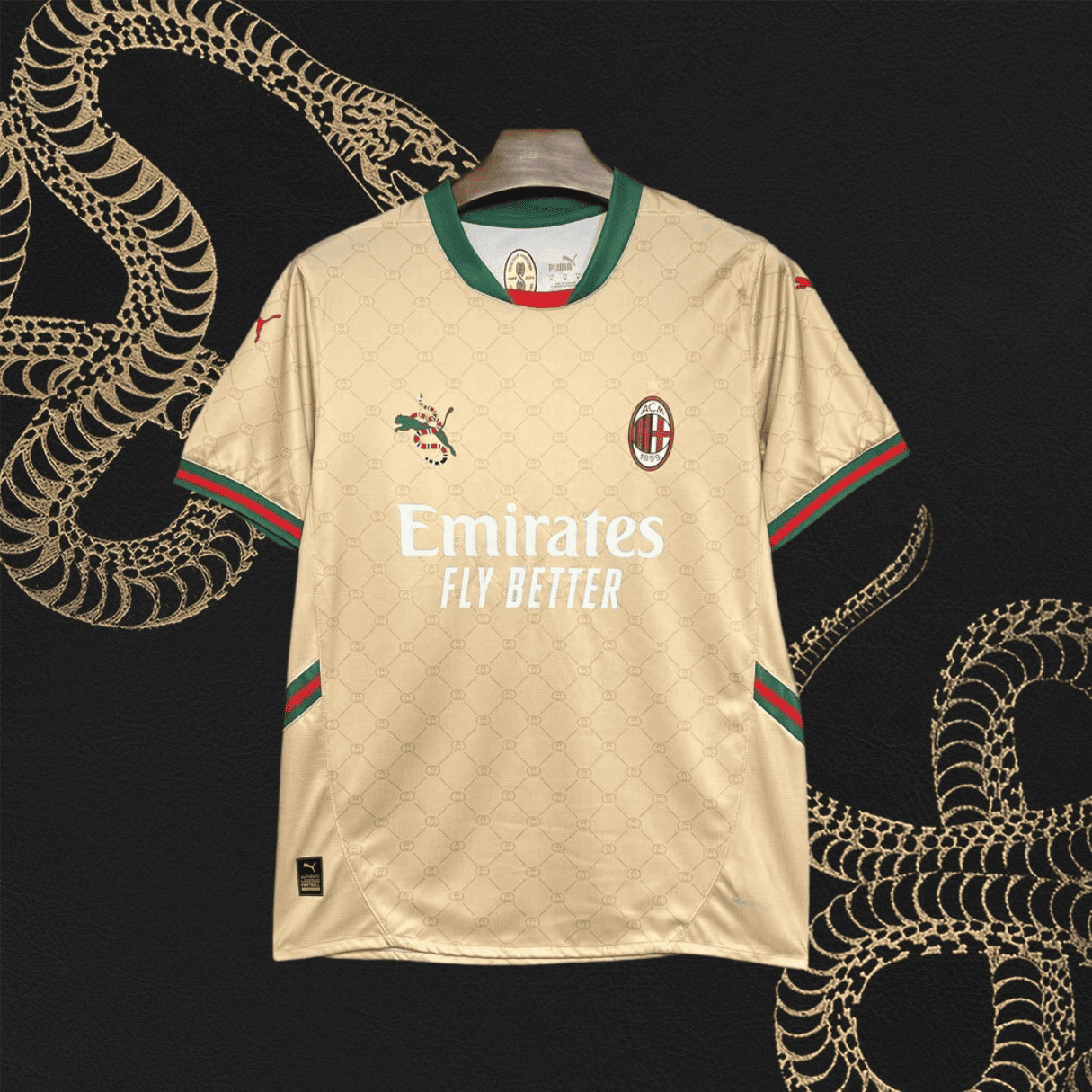 AC Milan 24 25 | Special Edition Jersey