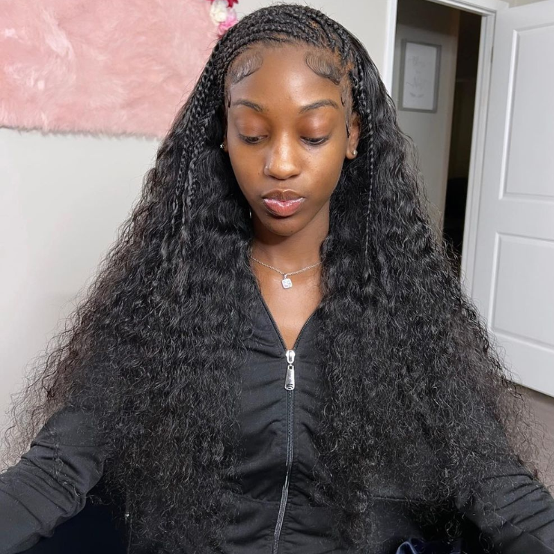 Braided Human Hair Wig - HD Lace Wigs