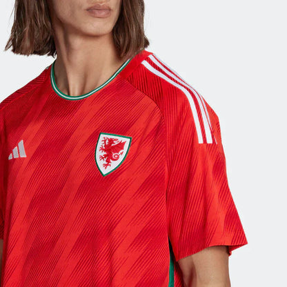 wales 22 world cup home jersey