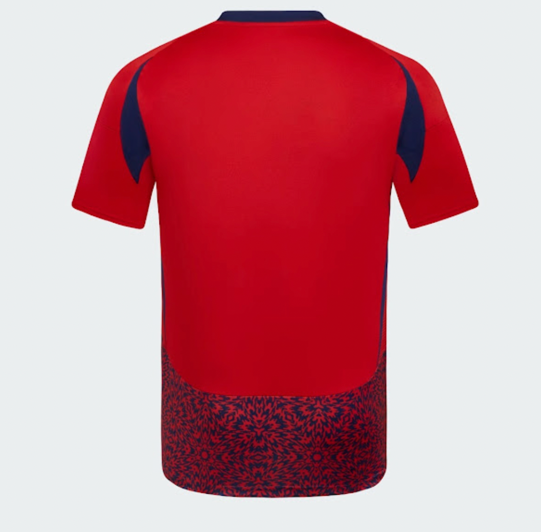 2024 2025 costa rica home jersey