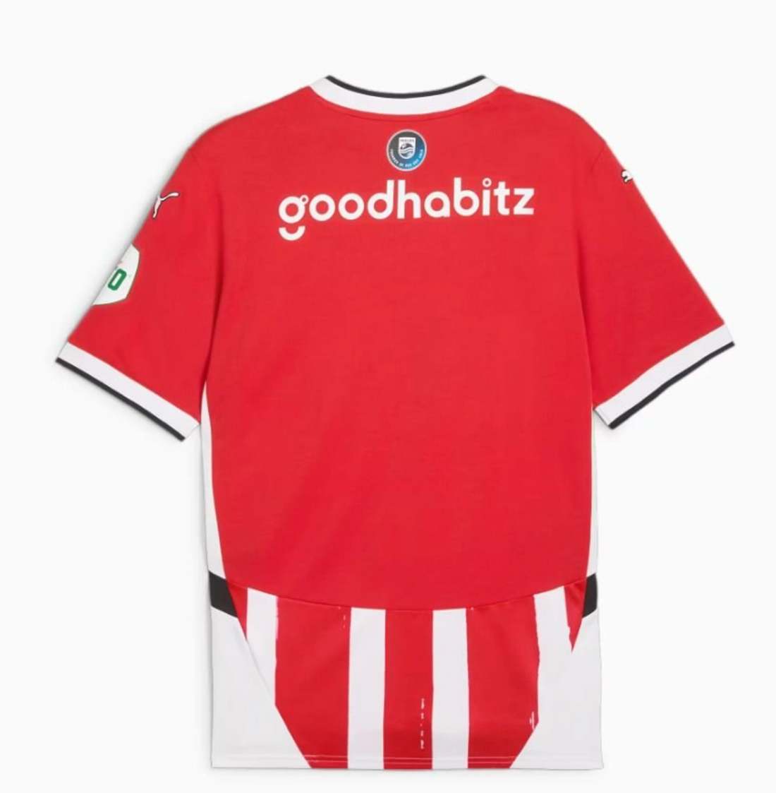 PSV Eindhoven Jersey 2024/2025 Home