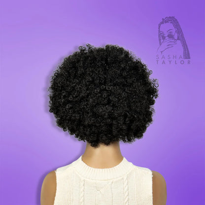 Short Synthetic Kinky Curly Braided Wigs - HD Lace Wigs on a model from the back