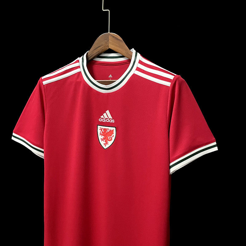 wales 22 23 home jersey