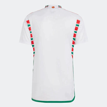 wales 22 world cup away jersey