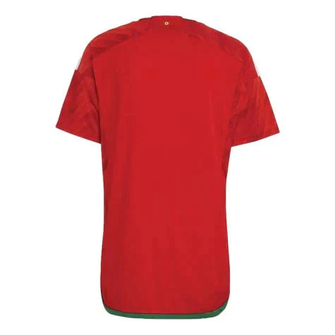 wales 22 world cup home jersey